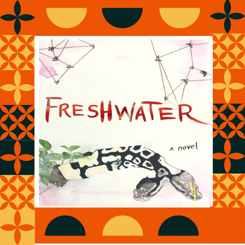 Guess the Nigerian Author of These Books