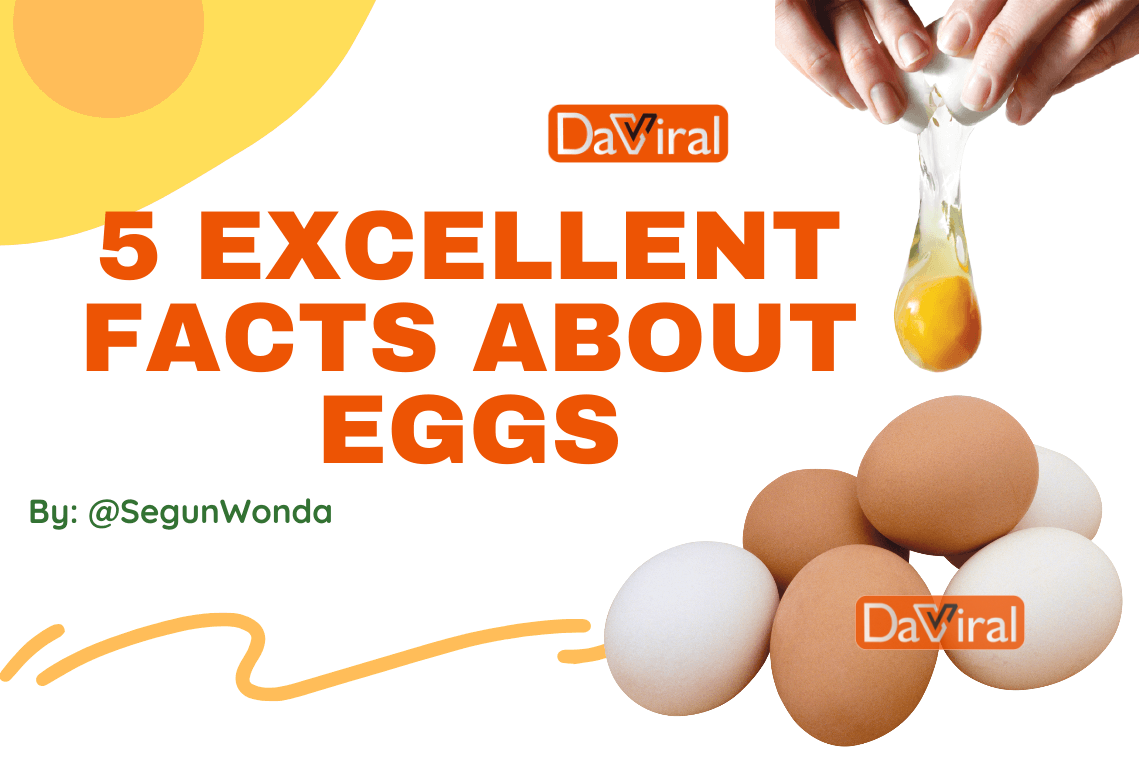 Excellent Facts About Eggs