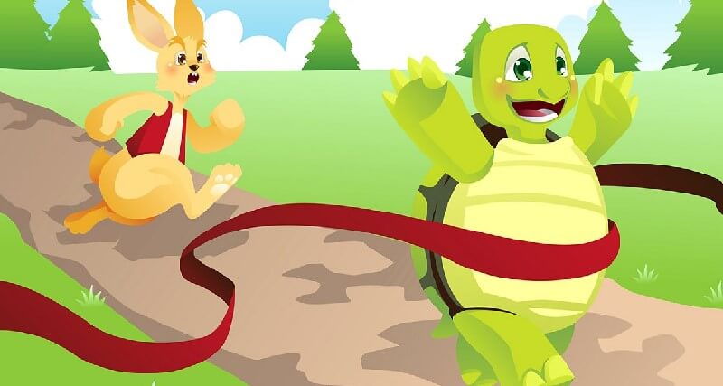 The Tortoise Stories