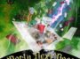 Bella Shmuda - Party Next - Door