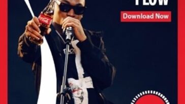 Mayorkun - Ginger Your Flow