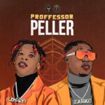 Seyi Vibez - Professor Peller