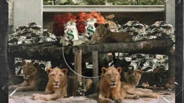 trod-shey you fit go?