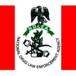 NDLEA Detains Illicit Drugs