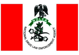NDLEA Detains Illicit Drugs