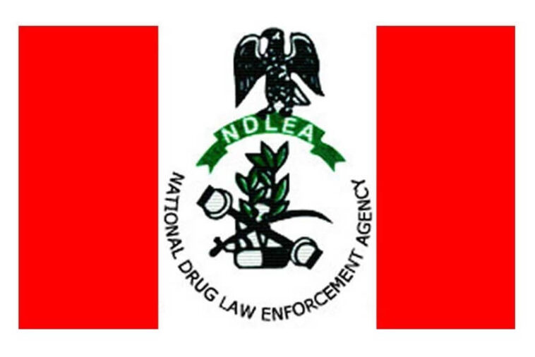 NDLEA Detains Illicit Drugs